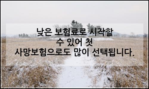 오늘의 이미지