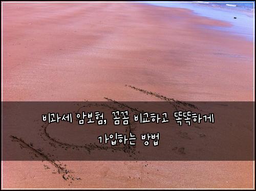 비과세 암보험, 꼼꼼 비교하고 똑똑하게 가입하는 방법
