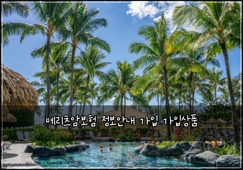 ๋ฉ๋ฆฌ์ธ ์๋ณดํ ์ ๋ณด์๋ด ๊ฐ์
๊ฐ์
์ํ