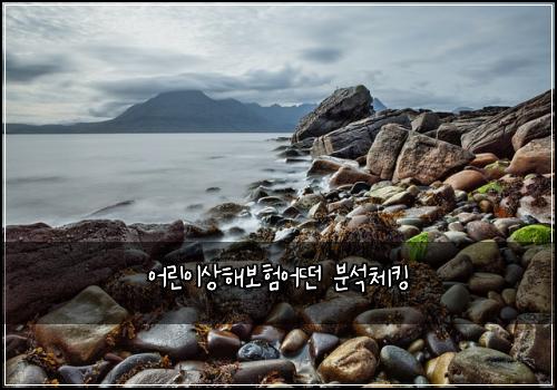 어린이상해보험어떤 분석체킹