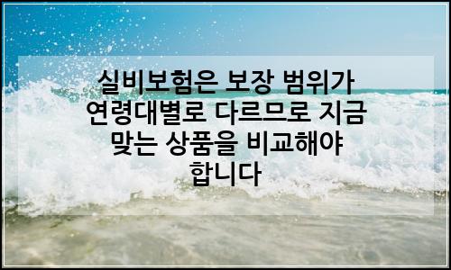 오늘의 이미지