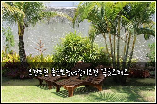보험추천 종신보험vs정기보험 꼭필요해요