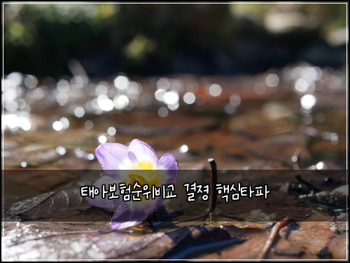 태아보험순위비교 결졍 핵심타파