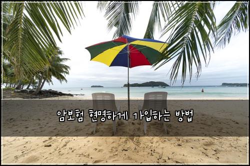 암보험 현명하게 가입하는 방법