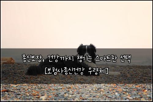 종신보장, 건강까지 챙기는 스마트한 선택 [보험사종신건강 우량체]