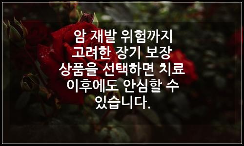 오늘의 이미지