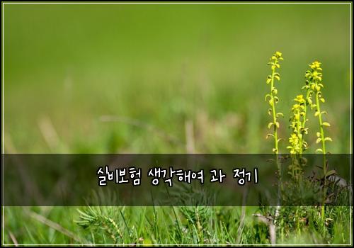 실비보험 생각해여  과 정기