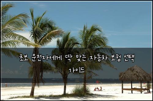 초보 운전자에게 딱 맞는 자동차 보험 선택 가이드