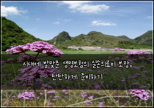  시대에 발맞춘 생명보험의 실손의료비 보장, 탄탄하게 준비하기