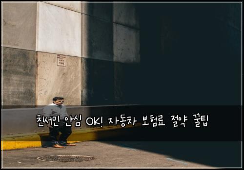 친서민 안심 OK! 자동차 보험료 절약 꿀팁