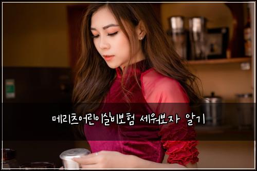๋ฉ๋ฆฌ์ธ ์ด๋ฆฐ์ด์ค๋น๋ณดํ ์ธ์๋ณด์ ์๊ธฐ