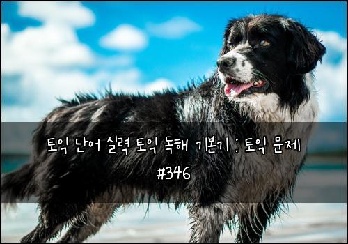 토익 단어 실력 토익 독해 기본기 : 토익 문제 #346