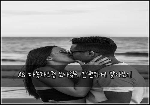  A6 자동차보험 모바일로 간편하게 알아보기