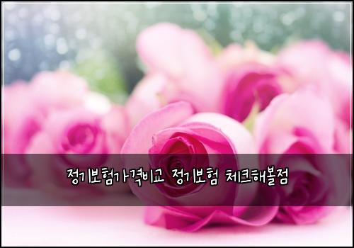 ์ ๊ธฐ๋ณดํ๊ฐ๊ฒฉ๋น๊ต ์ ๊ธฐ๋ณดํ ์ฒดํฌํด๋ณผ์ 