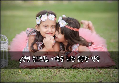 g생명 종신보험, 가족을 위한 든든한 약속