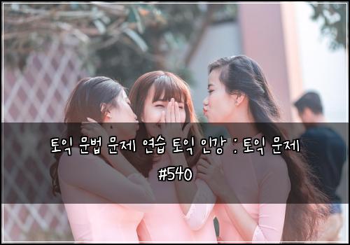 토익 문법 문제 연습 토익 인강 : 토익 문제 #540