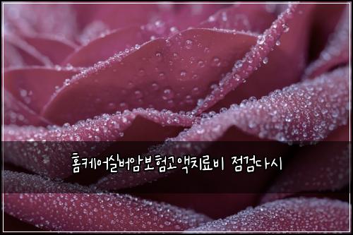 홈케어실버암보험고액치료비 점검다시