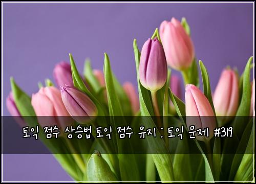 토익 점수 상승법 토익 점수 유지 : 토익 문제 #319