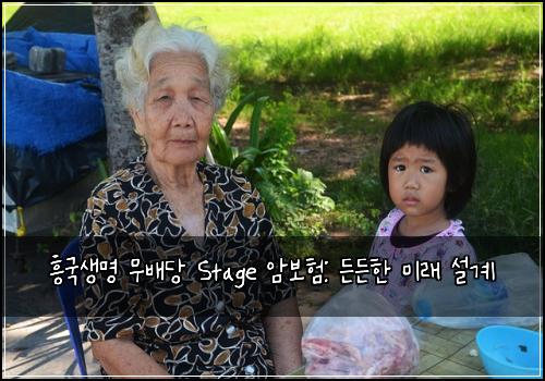 흥국생명 무배당 Stage 암보험: 든든한 미래 설계