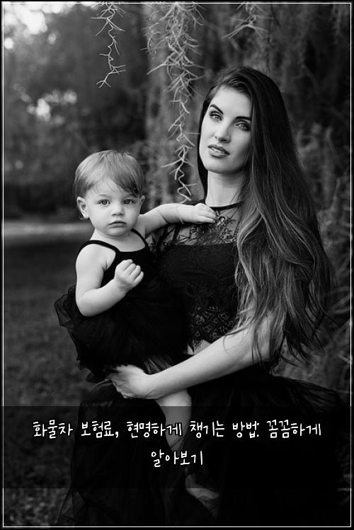 화물차 보험료, 현명하게 챙기는 방법: 꼼꼼하게 알아보기