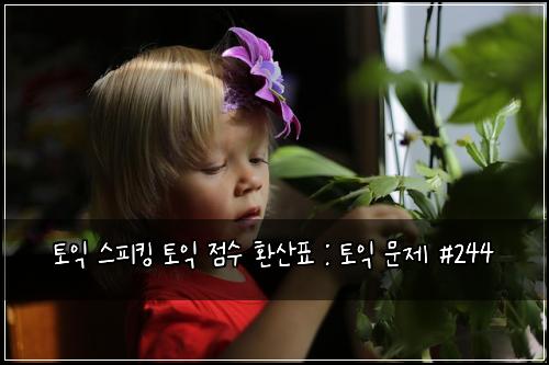 토익 스피킹 토익 점수 환산표 : 토익 문제 #244