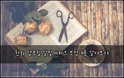 한화 암보험 알맞게체크  보장내용 알아보쟈