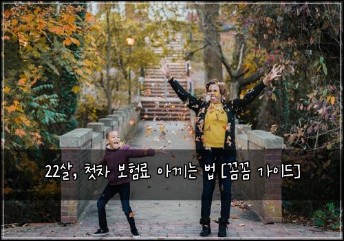 22살, 첫차 보험료 아끼는 법 [꼼꼼 가이드]