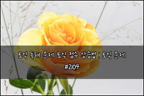 토익 독해 문제 토익 점수 상승법 : 토익 문제 #2104