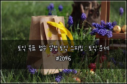 토익 목표 점수 설정 토익 스피킹 : 토익 문제 #2046