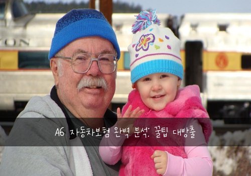 A6 자동차보험 완벽 분석: 꿀팁 대방출