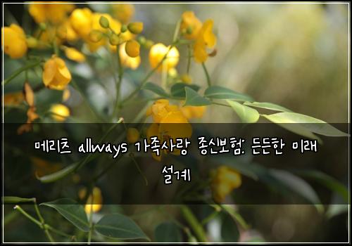 메리츠 allways 가족사랑 종신보험: 든든한 미래 설계