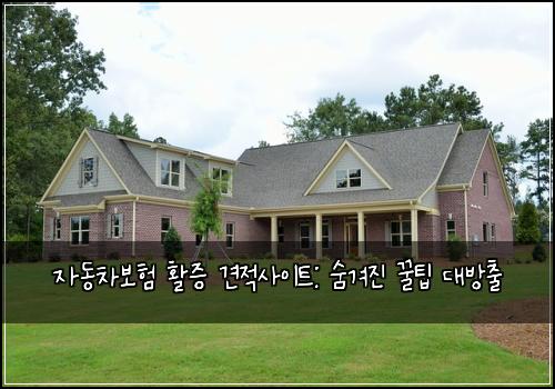 자동차보험 활증 견적사이트: 숨겨진 꿀팁 대방출