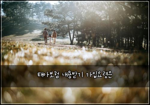 ํ์๋ณดํ ๋ด์ฉ๋ฐ๊ธฐ ๊ฐ์
์๋ น์