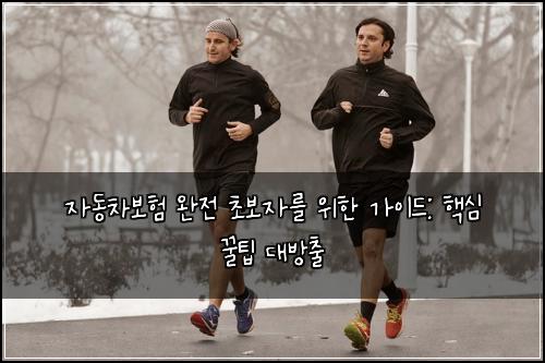  자동차보험 완전 초보자를 위한 가이드: 핵심 꿀팁 대방출