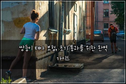  쌍둥이 태아 보험, 초기 통과를 위한 완벽 가이드
