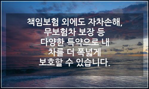 오늘의 이미지