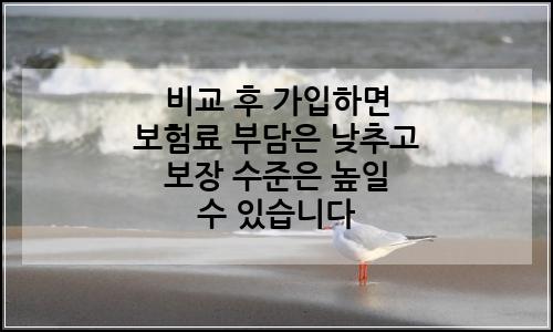 오늘의 이미지