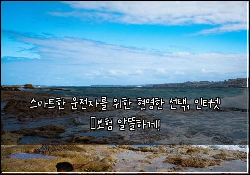  스마트한 운전자를 위한 현명한 선택, 인터넷 車보험 알뜰하게!