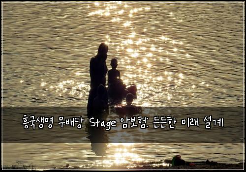 흥국생명 무배당 Stage 암보험: 든든한 미래 설계