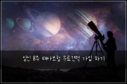 임신 8주 태아보험 무료견적  가입 하기