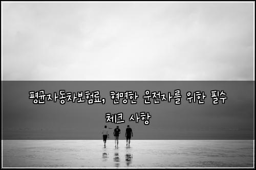 평균자동차보험료, 현명한 운전자를 위한 필수 체크 사항