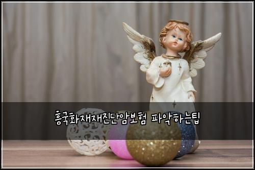 흥국화재재진단암보험 파악하는팁 
