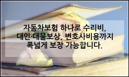 오늘의 이미지