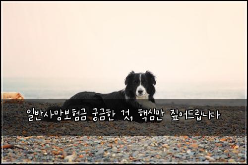  일반사망보험금 궁금한 것, 핵심만 짚어드립니다