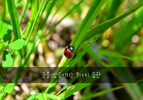 운을 상승시키는 9가지 습관