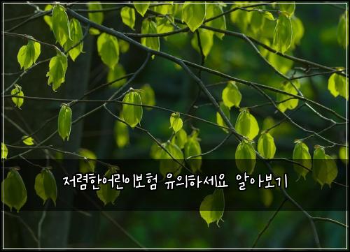 ์ ๋ ดํ์ด๋ฆฐ์ด๋ณดํ ์ ์ํ์ธ์ ์์๋ณด๊ธฐ
