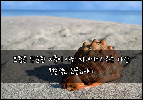 오늘의 이미지