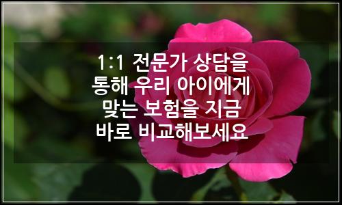 오늘의 이미지