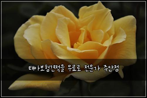 ํ์๋ณดํ๊ฒฌ์ ์ ๋ฌด๋ฃ๋ก ์ ๋ฌธ๊ฐ ์ฃผ์์ 