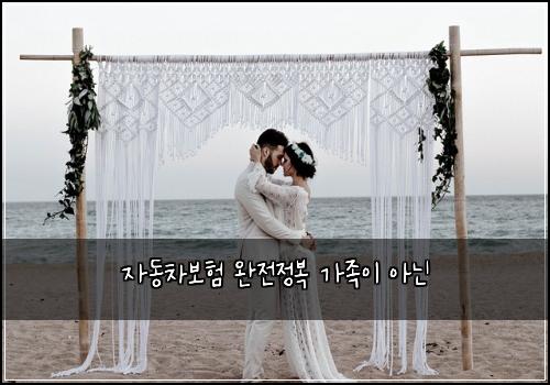 ์๋์ฐจ๋ณดํ ์์ ์ ๋ณต ๊ฐ์กฑ์ด ์๋